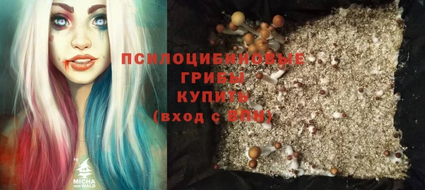 Альфа ПВП Армянск