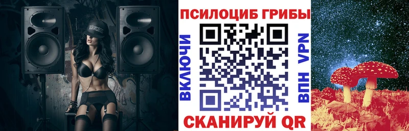 Псилоцибиновые грибы Psilocybine cubensis Гудермес